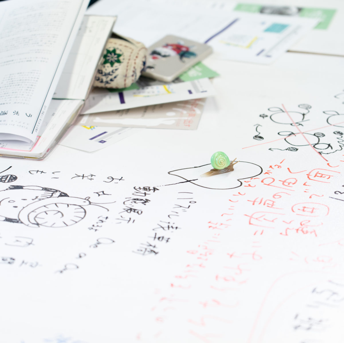 かたつむりの写真