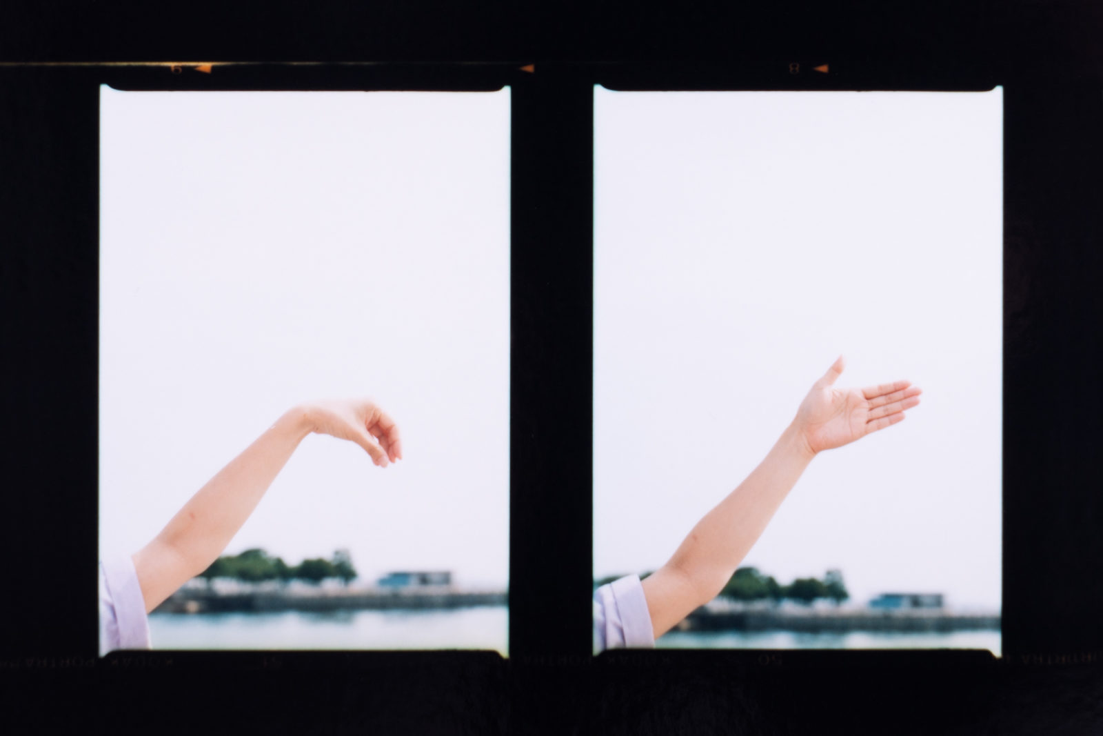 手話をしている人の腕と手をクローズアップした2枚の画像が並んでいる