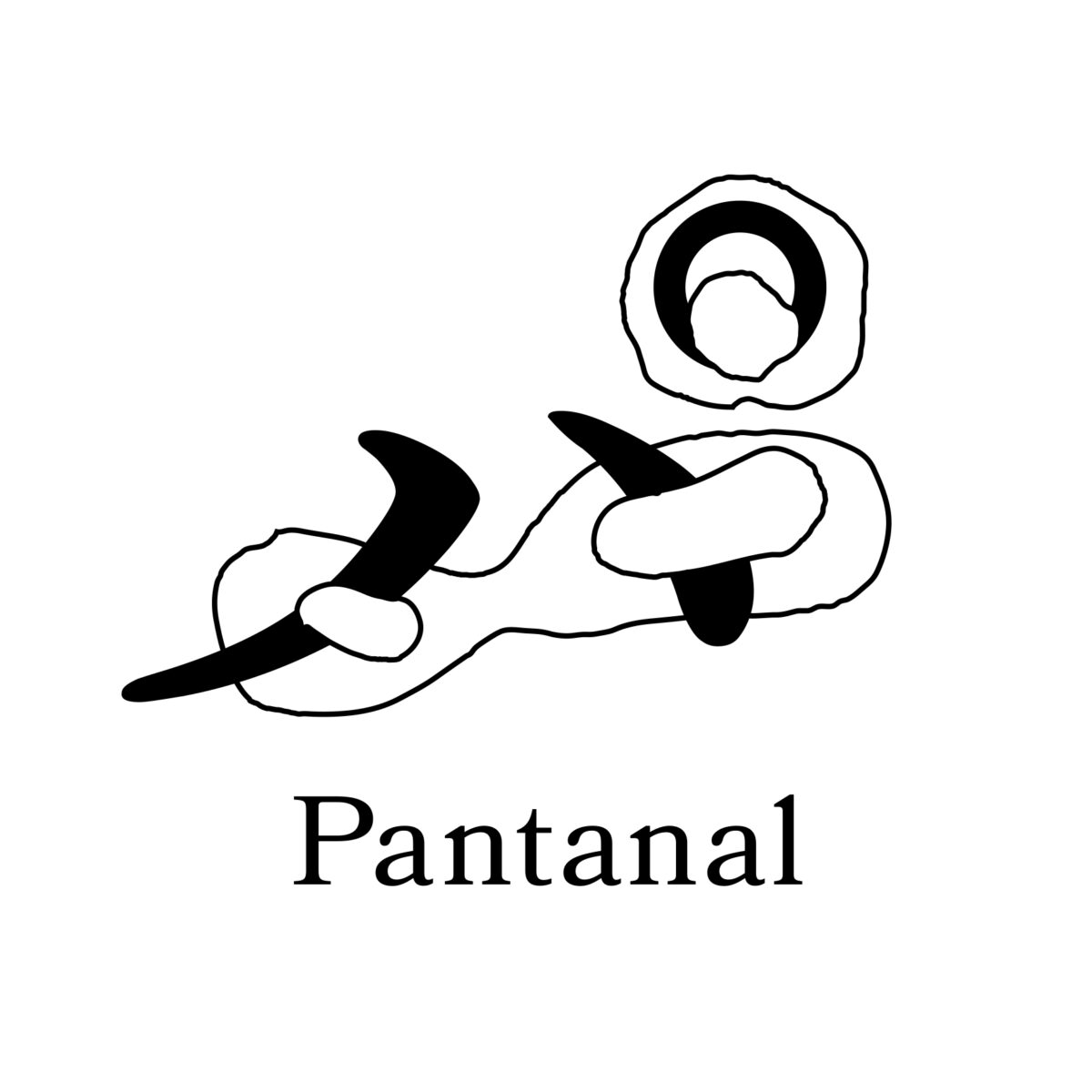 一般社団法人パンタナルの写真