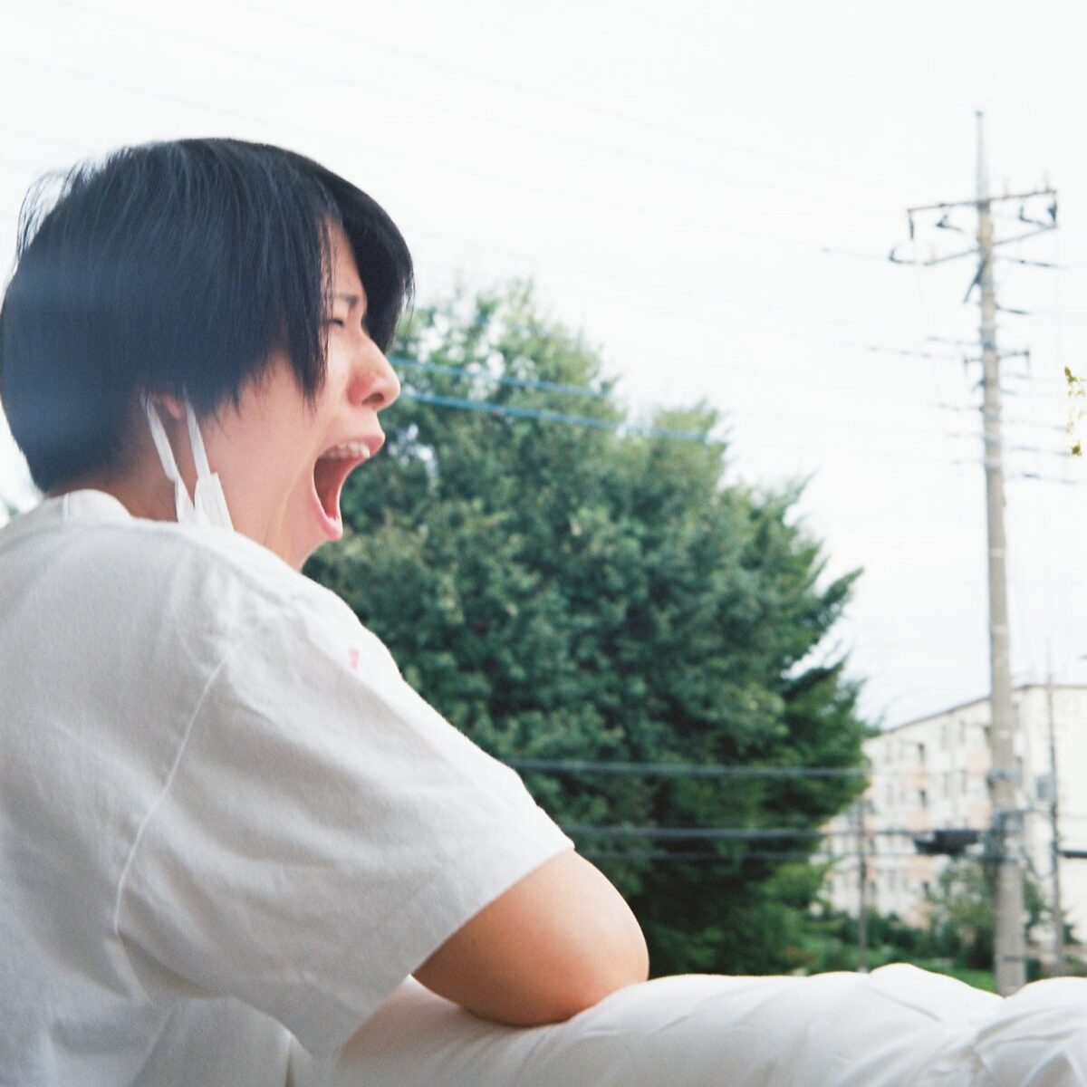 屋宜初音の写真