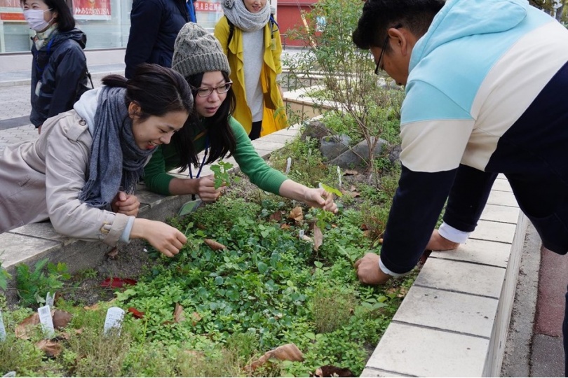 歩道沿いの緑地をのぞき込んだり、植物を採取したりしている人々の様子。緑地は腰くらいの高さで、2人の人が両手に植物を持ちながら楽し気に採取している