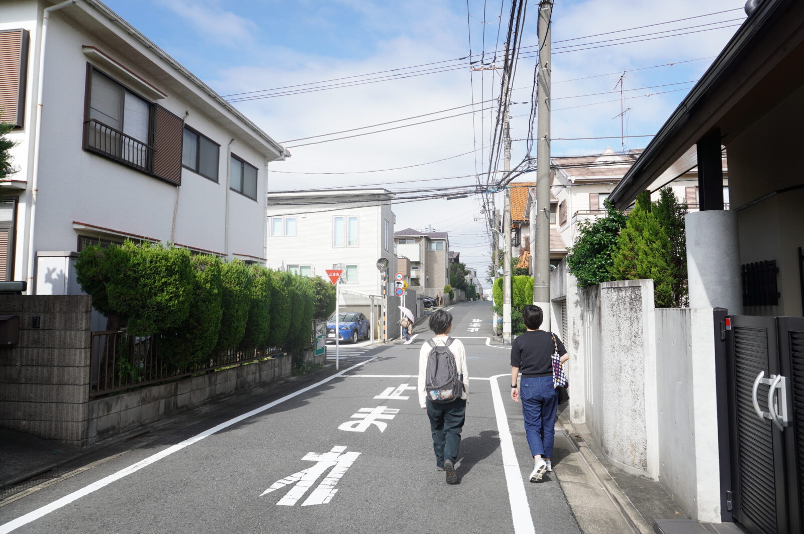 住宅地のなかの道路を歩く２人の後ろ姿がある